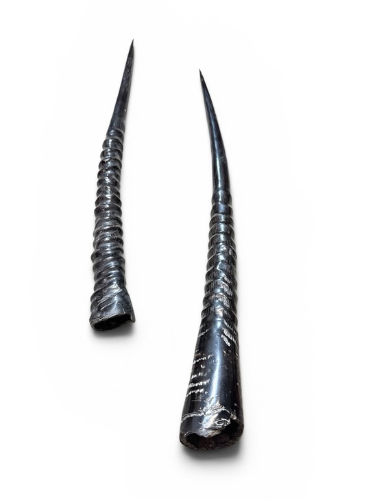 Handmade Other - Polished Pair Oryx Gemsbok Horns 30 1/2” Pair Oryx Twised Polished Horns Antlers